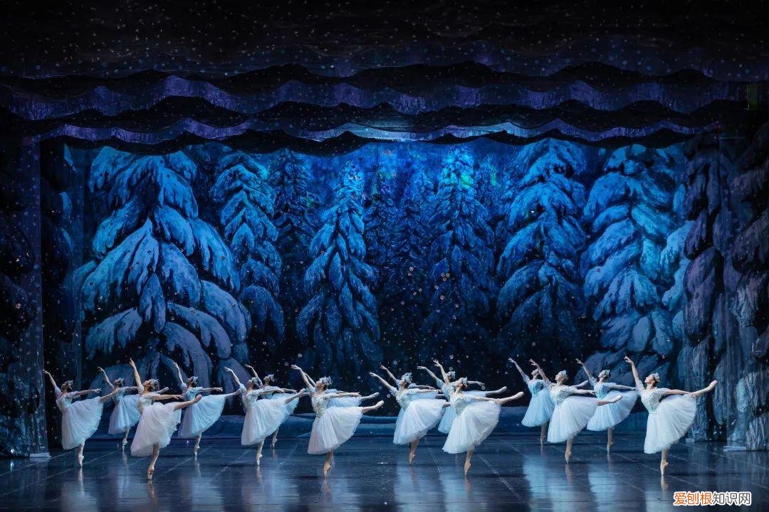 胡桃夹子芭蕾舞剧
