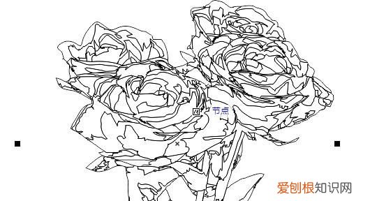 cdr描边该怎么样进行操作