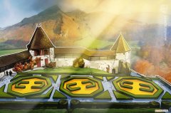 suissewin是什么牌子的包