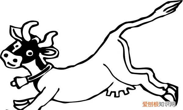 怎么简笔画牛奶，画牛的步骤与方法