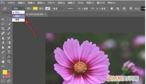 ps怎么增加自定义形状