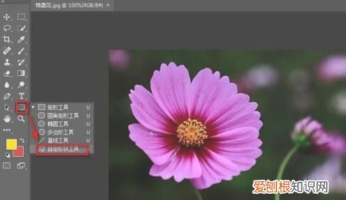 ps怎么增加自定义形状
