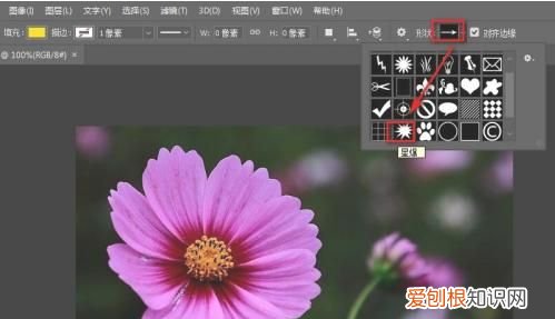 ps怎么增加自定义形状