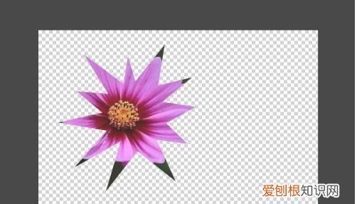 ps怎么增加自定义形状