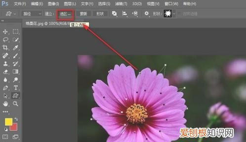 ps怎么增加自定义形状