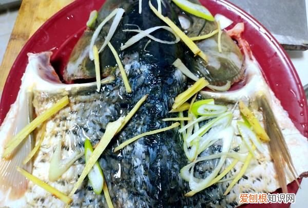 剁椒鱼头的做法家常，剁椒鱼头的制作方法步骤图示