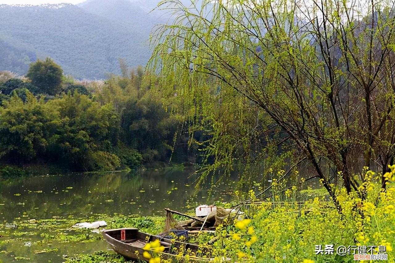 坐观垂钓者,徒有羡鱼情的意思