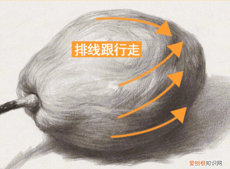 如何学素描，cdr如何才可以透视