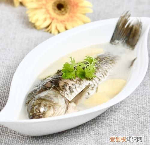 鲫鱼汤热量高吗,鲫鱼汤对伤口愈合有好处