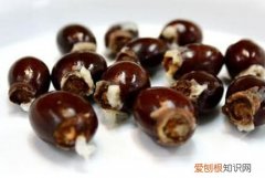 荔枝核的功效与作用，荔枝核发芽后怎么处理