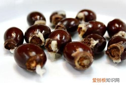 荔枝核的功效与作用，荔枝核发芽后怎么处理