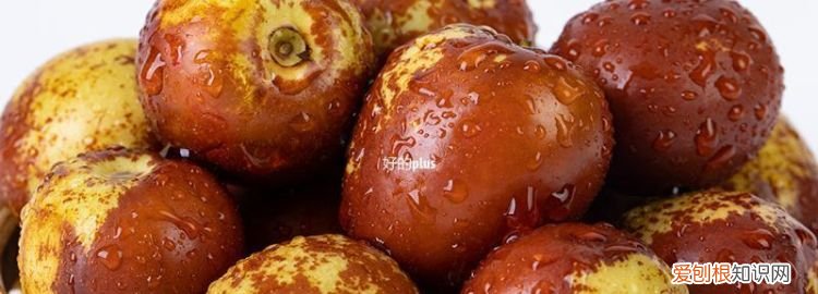 冬枣可以放冰箱吗，冬枣放在冰箱里为何会变大可吃