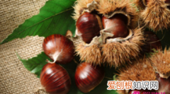 板栗是发物吗，有谁用过卡帝兰的.说下用了之后的效果