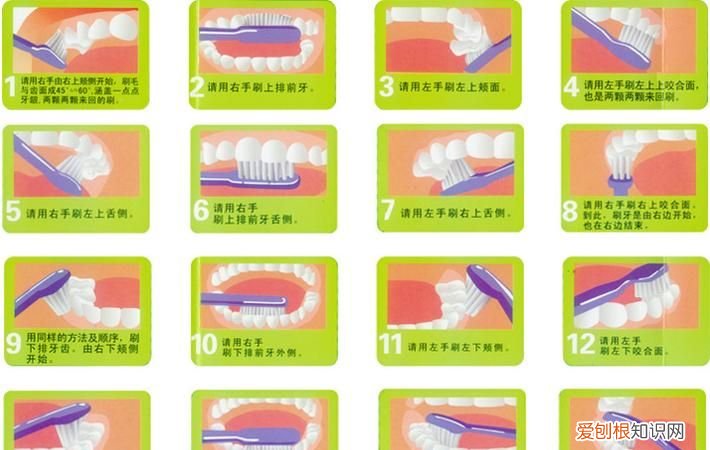 刷牙的正确方法,刷牙器正确使用方法