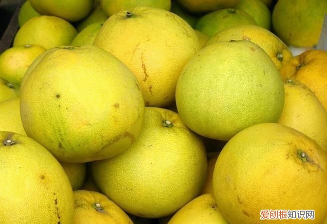 柚子苦能吃吗，柚子放久了苦能吃