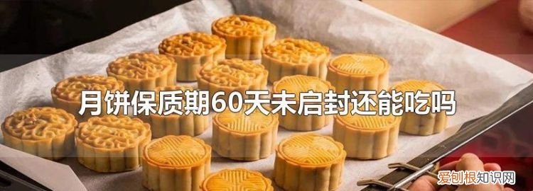 过期的月饼能吃吗,保质期两个月的月饼过期了还能吃