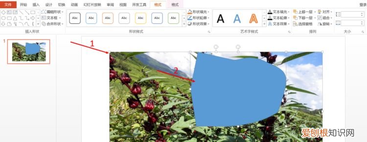 ppt怎么自由裁剪