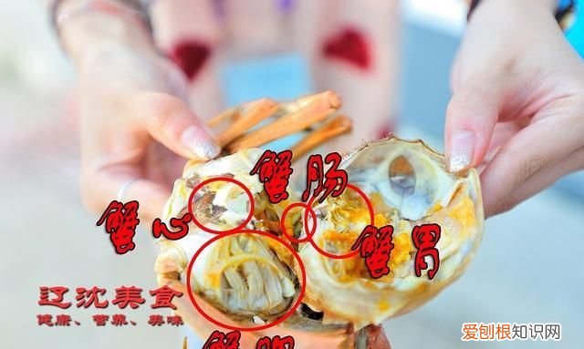 螃蟹的腮能吃吗，螃蟹的腮是蓝色的可以吃
