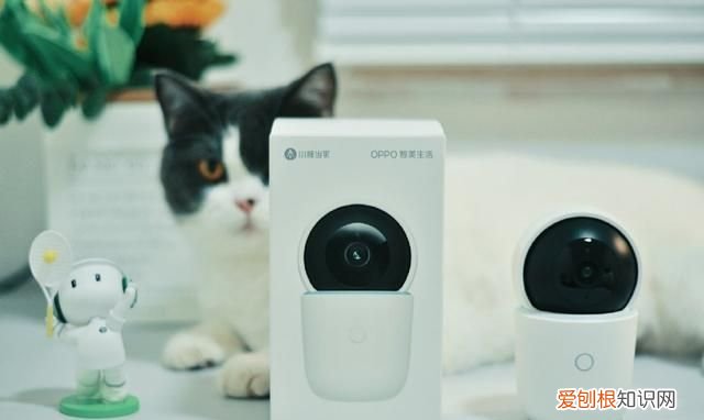 oppo智美生活摄像头测评,oppo 智美摄像头杂音很大