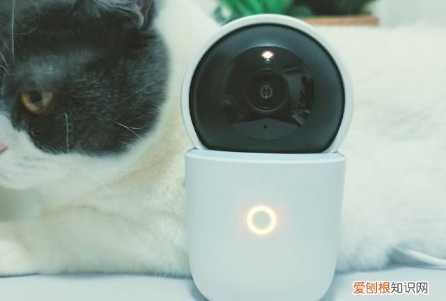 oppo智美生活摄像头测评,oppo 智美摄像头杂音很大