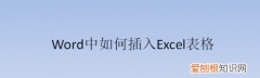 Word应该怎么才能插入Excel