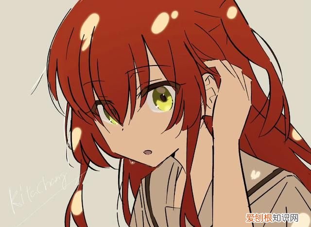 nomi机器人哪里有卖的