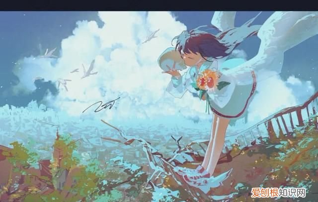 nomi机器人哪里有卖的