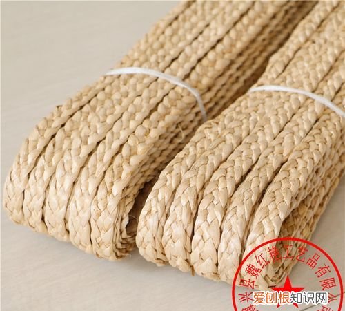 蒲草编织前如何处理,蒲扇是编的还是长的