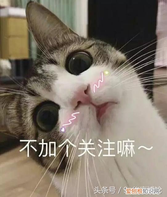 saranghae是什么意思