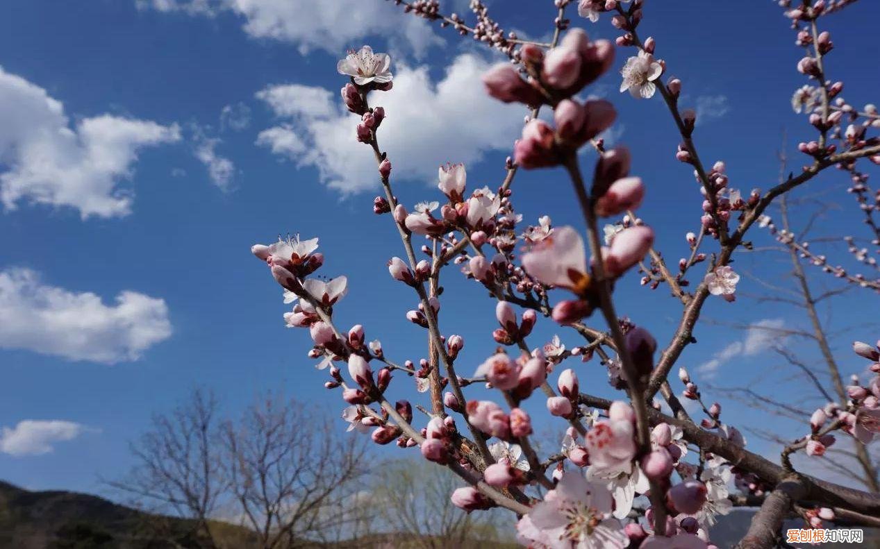 森林公园图片风景真实图片