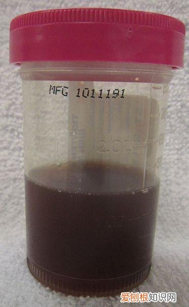 狗尿血是什么原因导致的