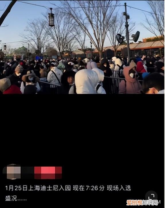 上海迪士尼项目