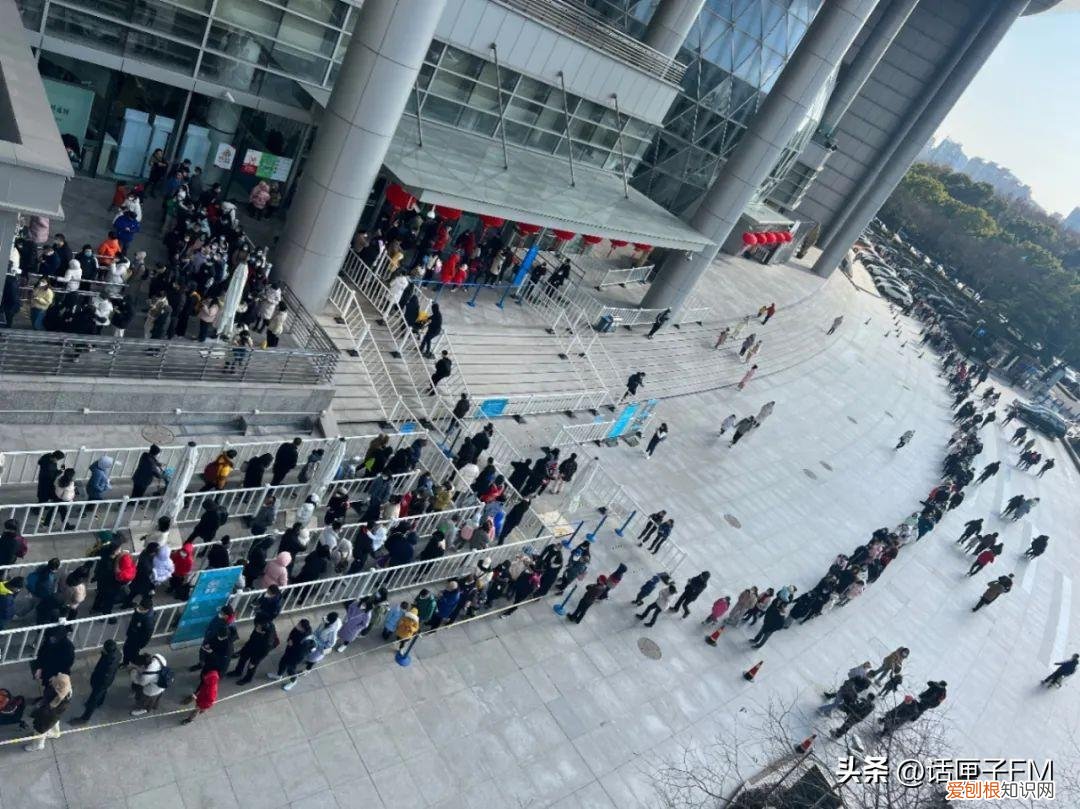 上海迪士尼项目