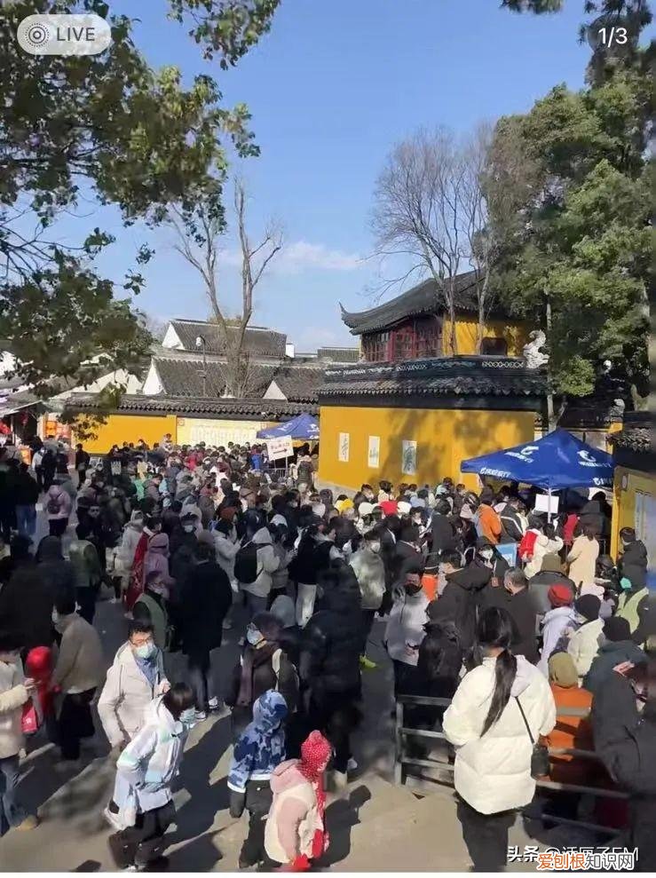 上海迪士尼项目