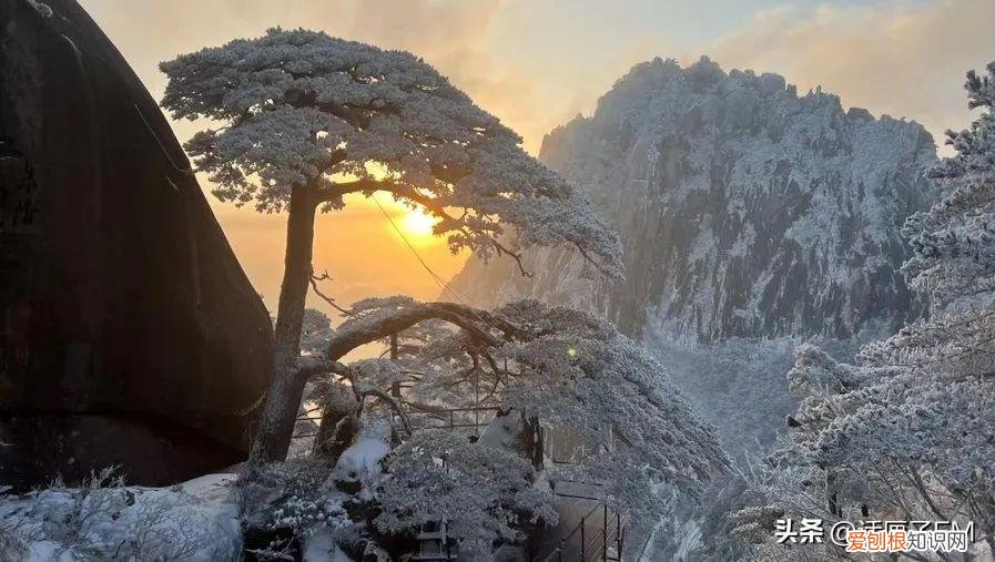 上海迪士尼项目