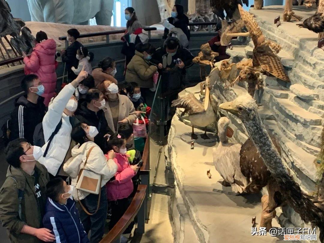 上海迪士尼项目