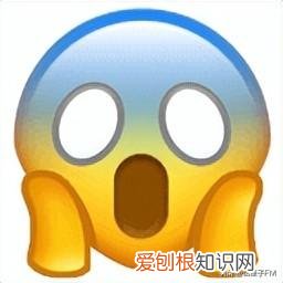 上海迪士尼项目