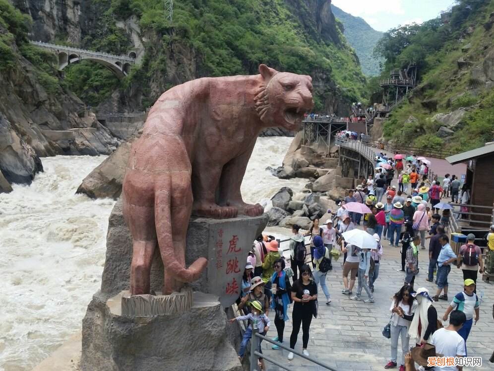 虎跳峡攻略