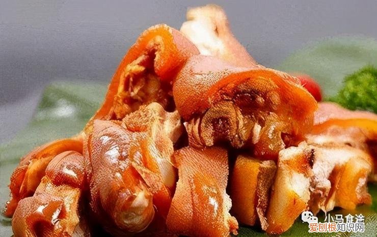 狗肉的做法大全 狗肉怎么做好吃