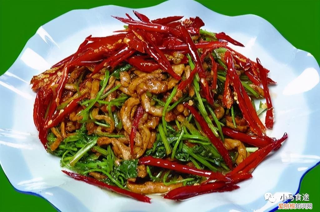 狗肉的做法大全 狗肉怎么做好吃