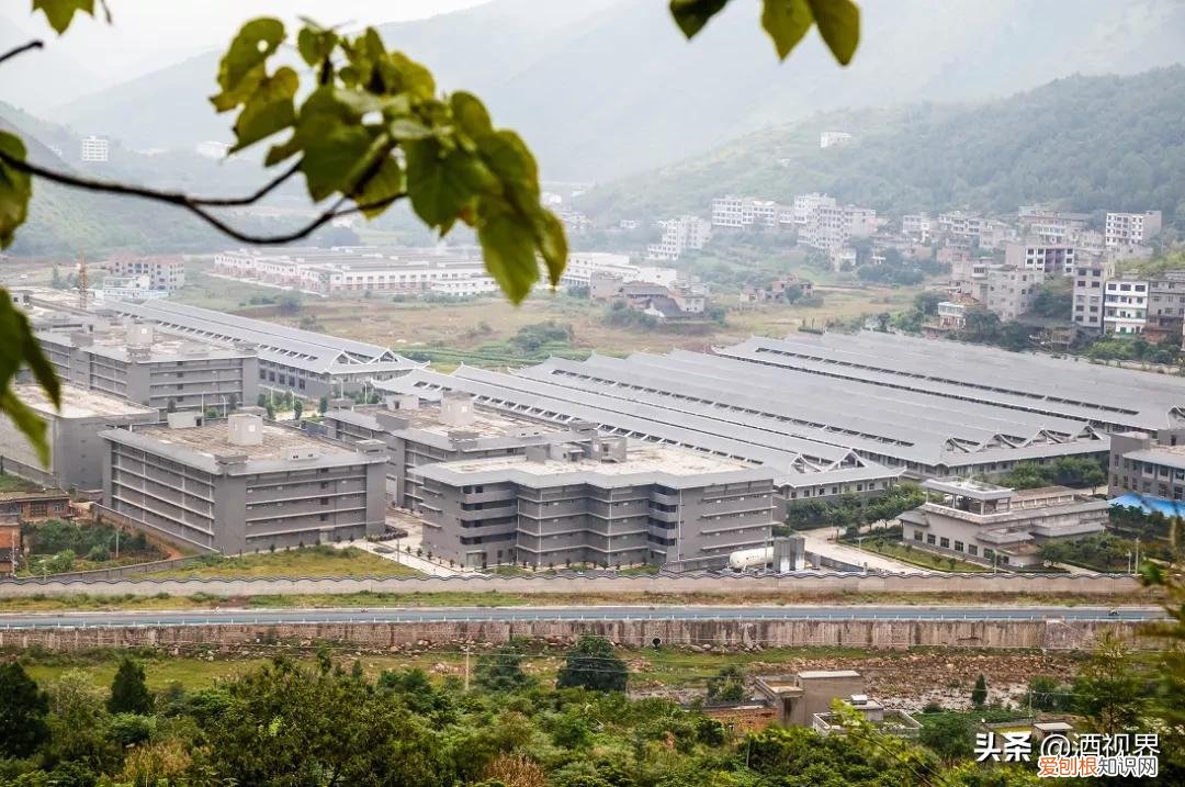 悠然酒53度价格