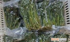 香椿芽怎么冷冻保存，香椿焯水后怎么保存