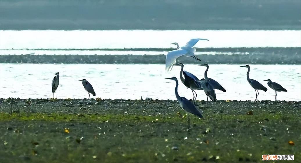 岳阳旅游景点攻略