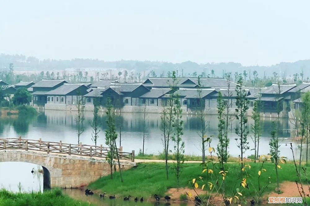 岳阳旅游景点攻略