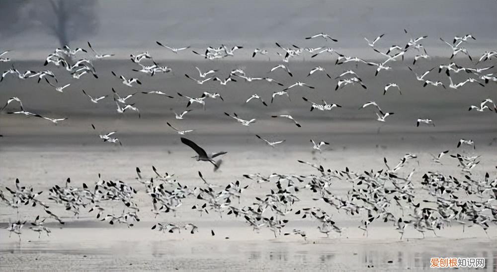 岳阳旅游景点攻略