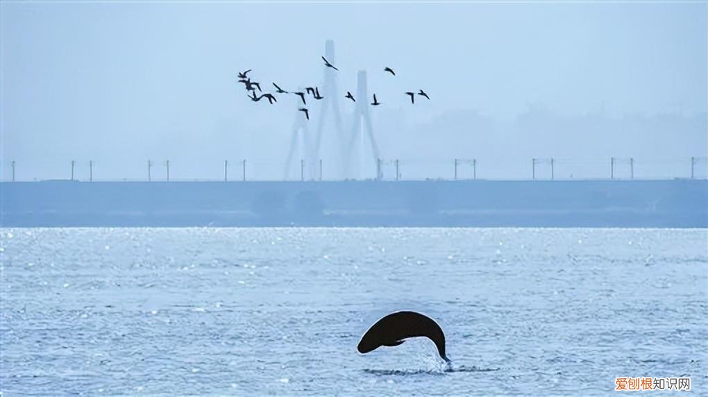 岳阳旅游景点攻略