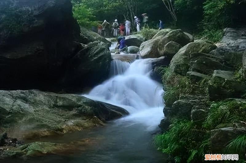 岳阳旅游景点攻略