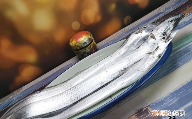 买带鱼怎么挑选,带鱼公母怎么挑选