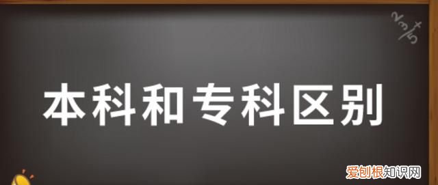 本科和专科的区别，大学本科和专科的区别是什么