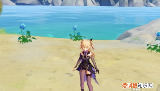 原神冰雾花在哪里，冰雾花在哪里采集晨曦酒庄